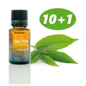 Essential Oil - Tea Tree 10+1